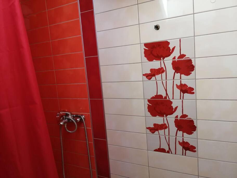 Apartman Natasa 3 Vârşeţ Exterior foto