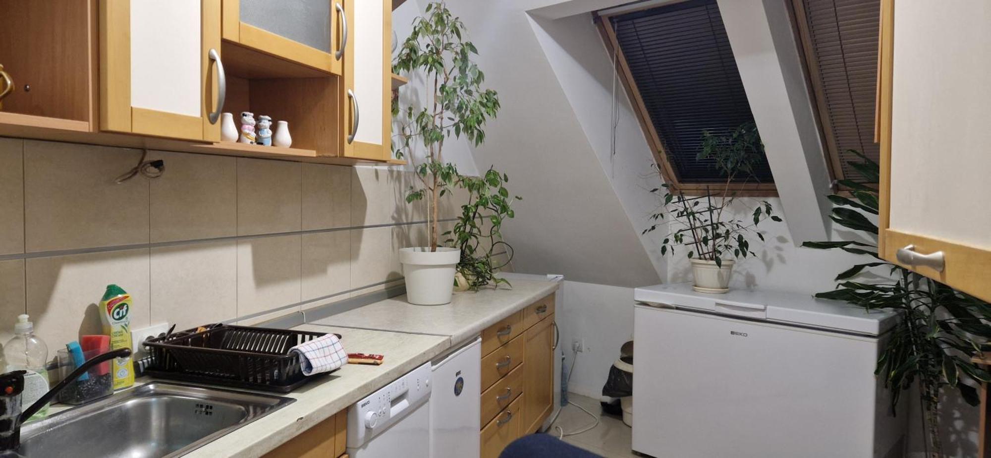Apartman Natasa 3 Vârşeţ Exterior foto